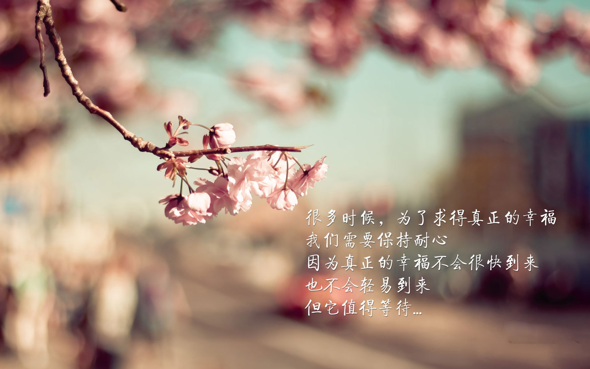 _河道极速漂流:水上勇士的极限挑战_,河道水上漂流施工方案