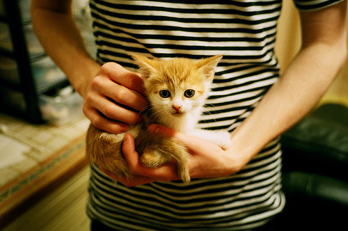 爱游戏中国官方登录入口网站-“战术大比拼：两支强队的攻守大变革带来什么样的结果？”