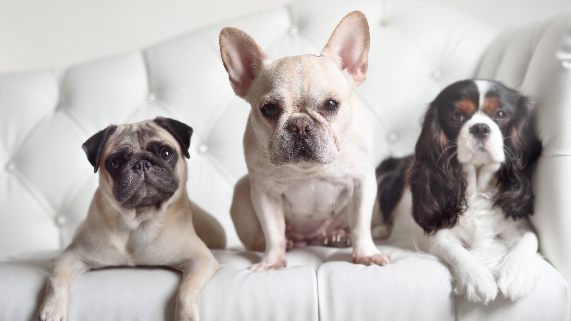 AYX GAME-“青训基地建设提速，拓展更广泛的青少年培训网络”，青训学校