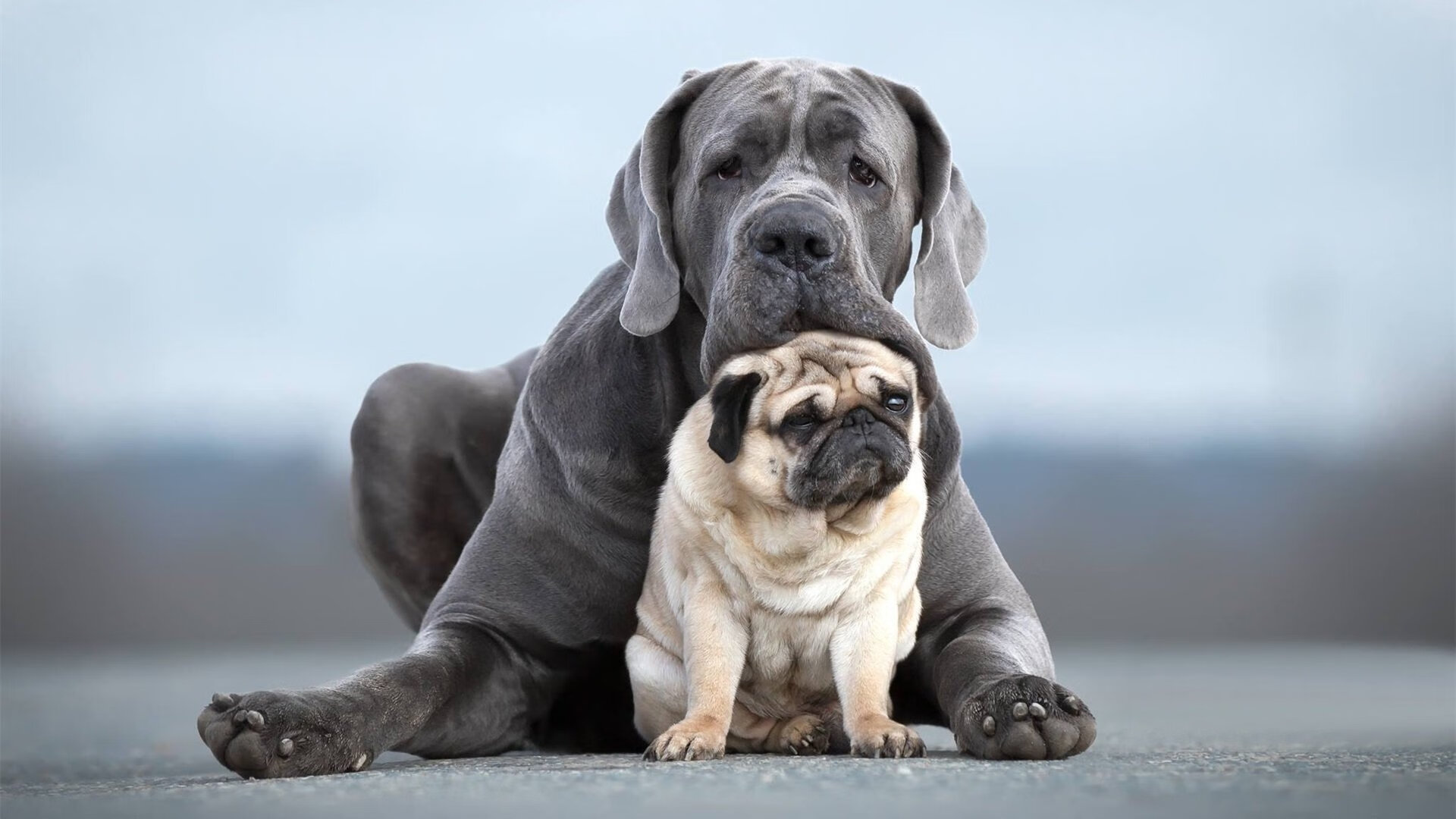 AYX体育官网-【规则演变】台球新规对运动员战术布局的影响分析，台球规则知乎