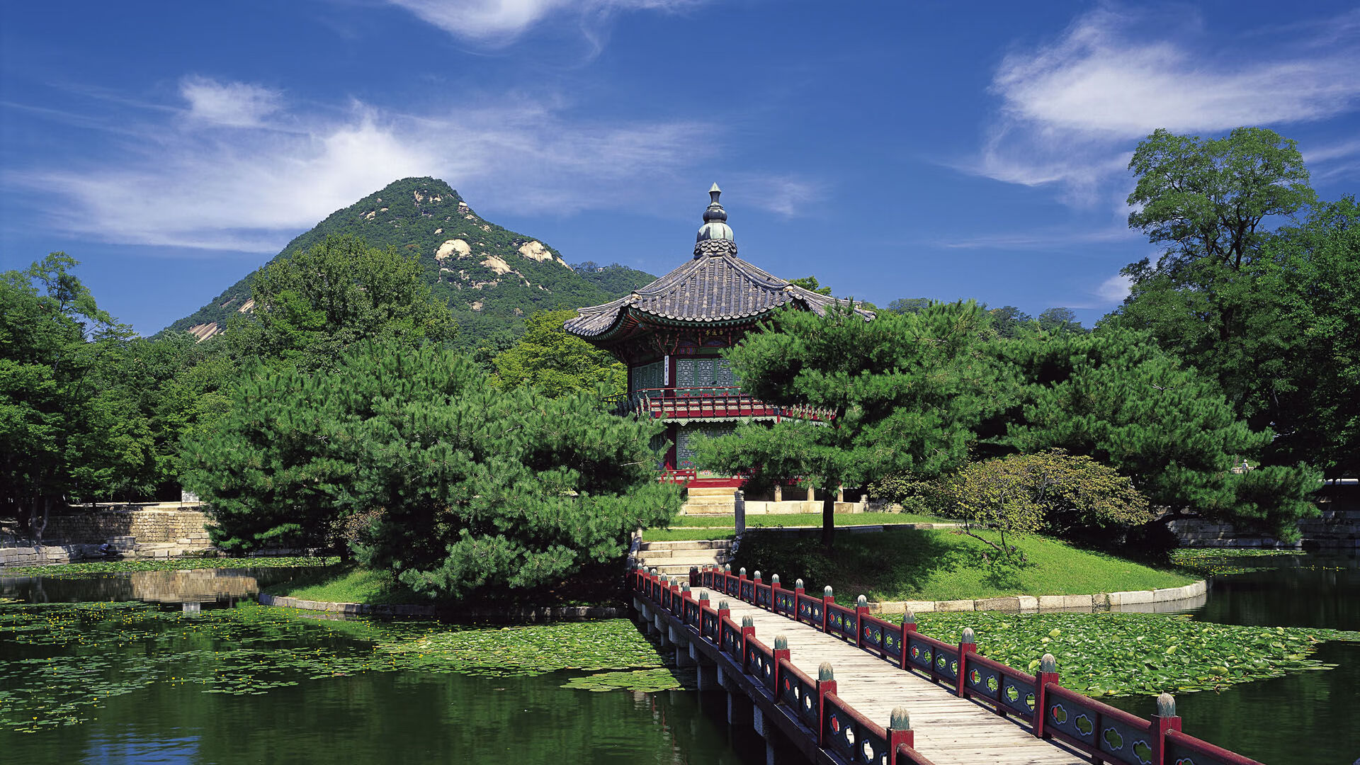 世界篮球日盛典:NBA全球化战略再升级,全球篮球比赛