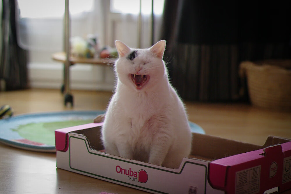 爱游戏官网-悬念重重！那些欧冠最扣人心弦的比赛时刻，欧冠史上最经典的比赛