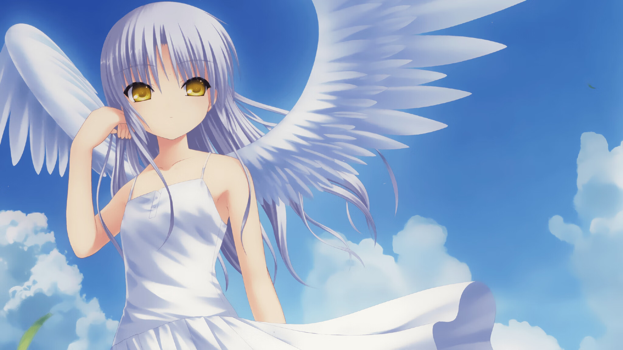 爱游戏娱乐网址-葡萄牙弓箭手亮相2024年欧洲室内锦标赛，葡萄牙弩手