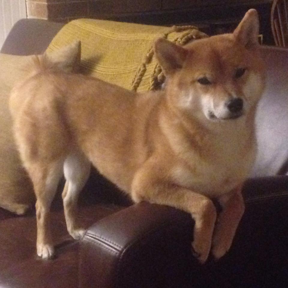 爱游戏体育官方网站-AC米兰队签下新后卫，增加阵容深度，ac米兰历史中后卫