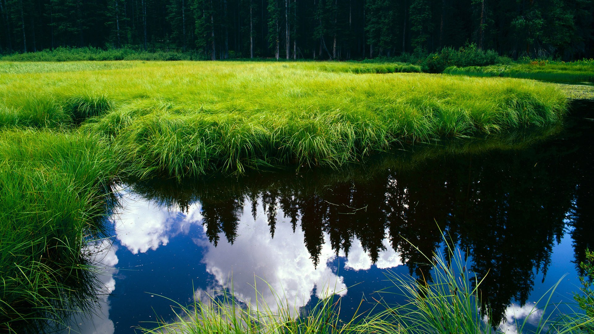 AYX官网-冲向巅峰：加拿大队击败荷兰，士气高昂，加拿大战队