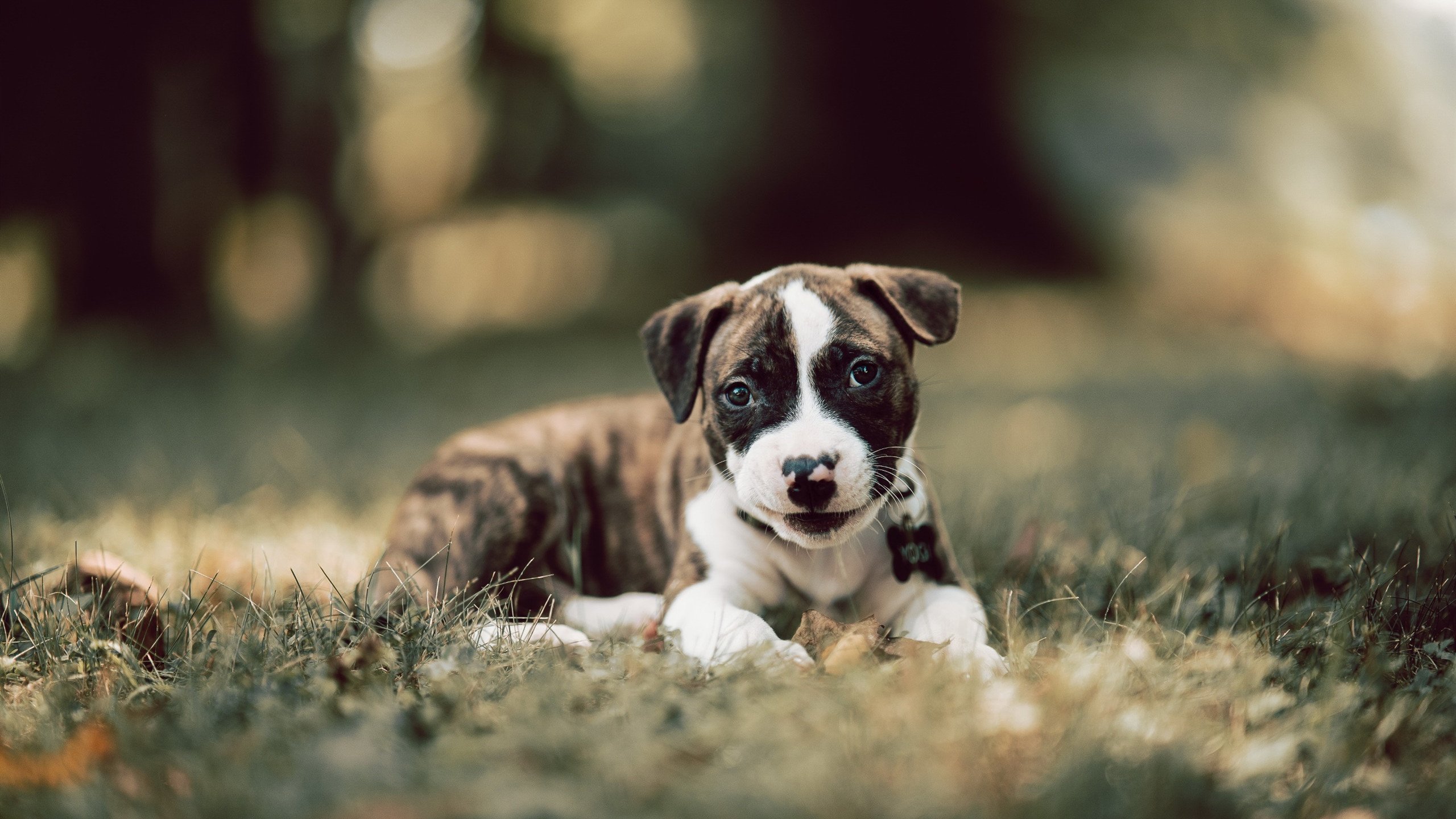 劲爆热门！国内足球赛况交相辉映，足球赛程中国