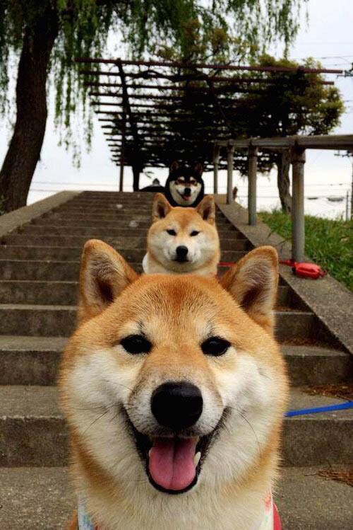 四强争霸引人瞩目,欧冠赛场战火腾飞,欧冠四强比赛时间表