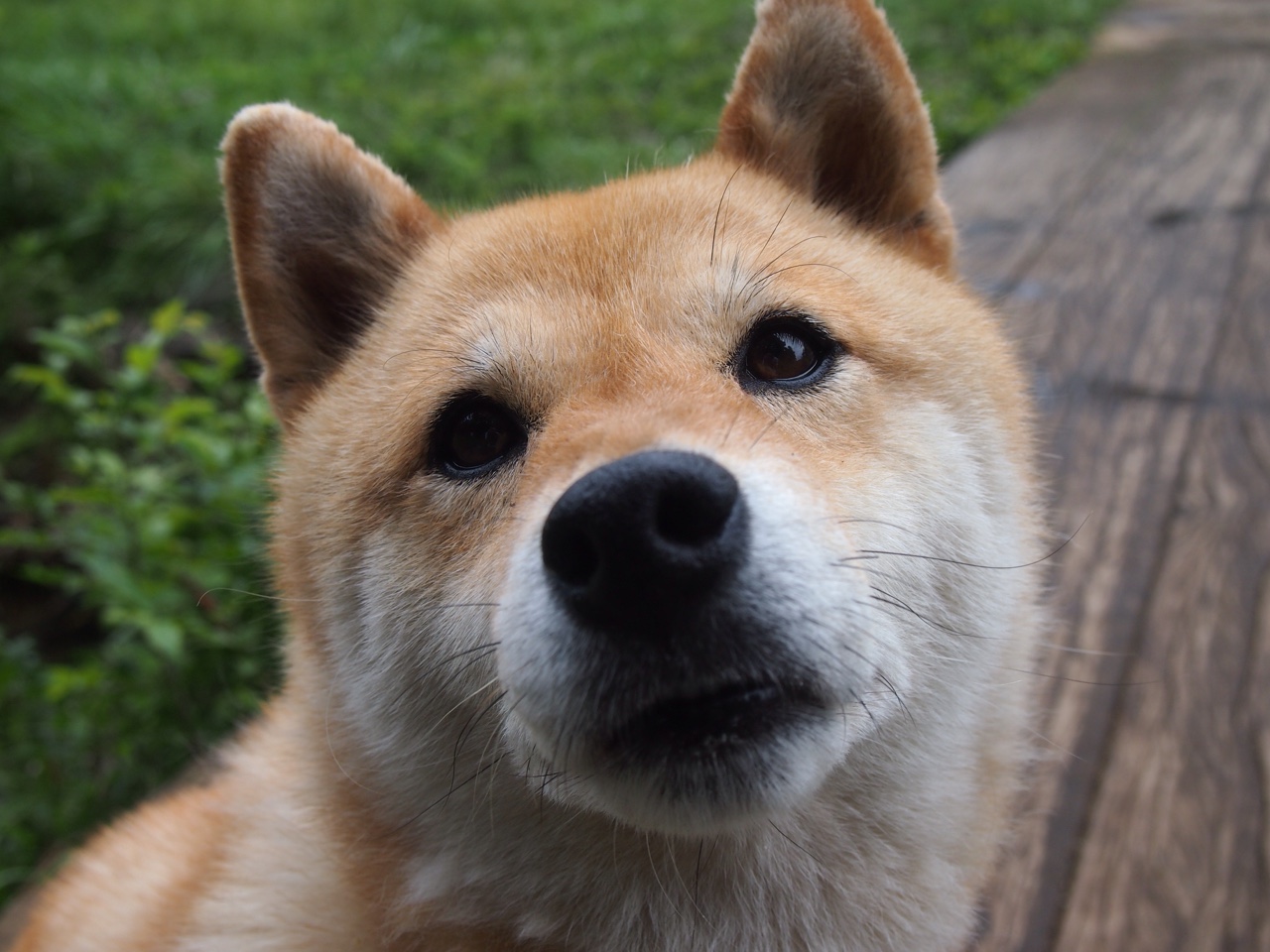 火箭队球员技术突破扬名 追求全新高度,火箭队的