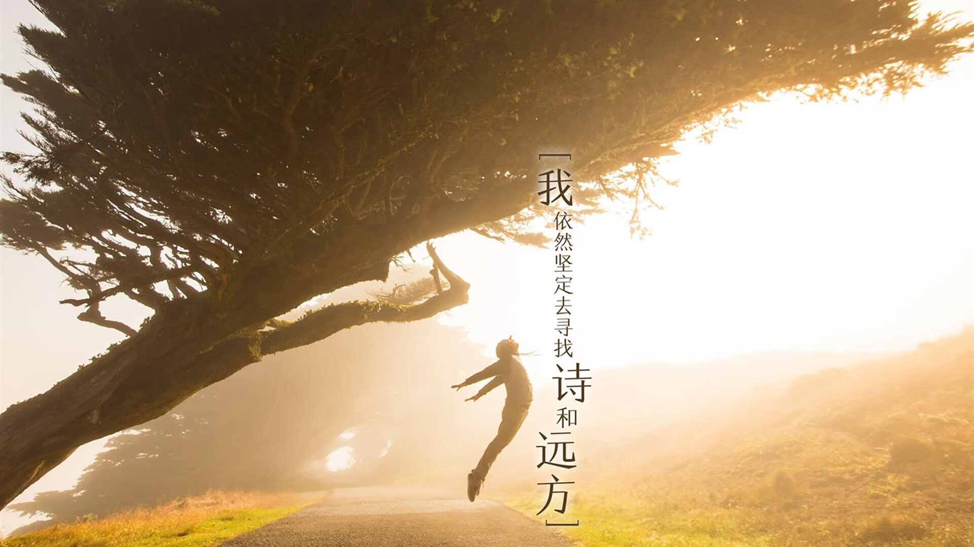 爱游戏综合娱乐-火箭战术执行到位赢得比赛，火箭制胜