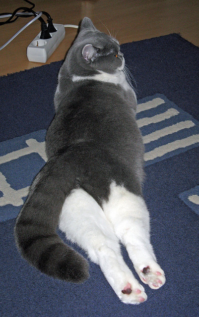 维多利亚遭遇连续失利，球队士气低迷，维多利亚后期的具体时间