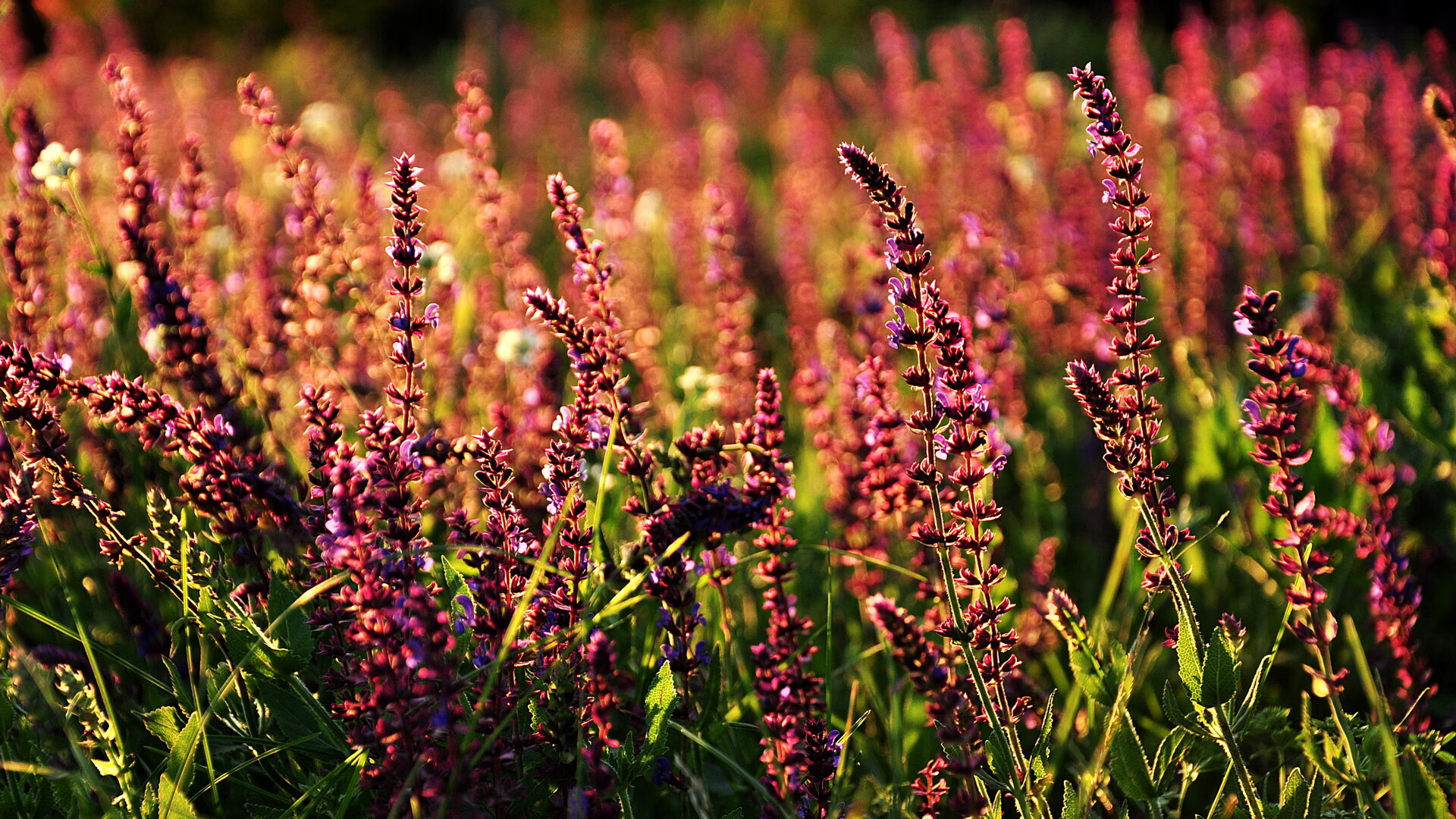 中超球队控场失误分布图解，中超控球最好的球队