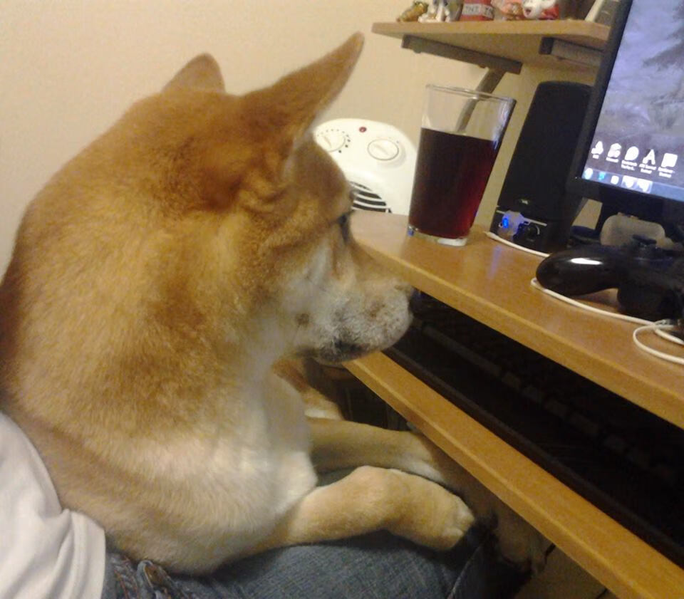 中超球队控场失误分布图解，中超控球最好的球队