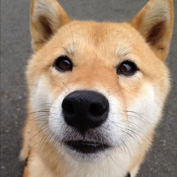 AYX体育-体育产业发展趋势预测，2021年体育产业发展前景分析