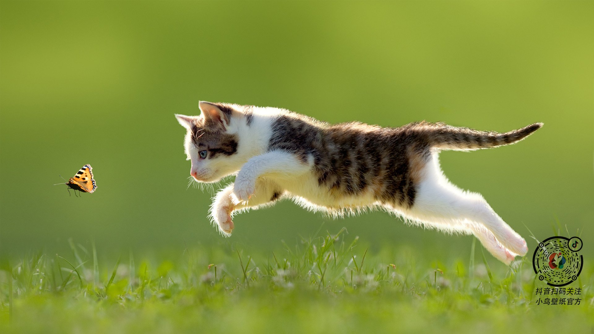 爱游戏体育平台-掩护球员是否应具备节奏感配合能力，篮球运动掩护配合进攻战术应注意的问题