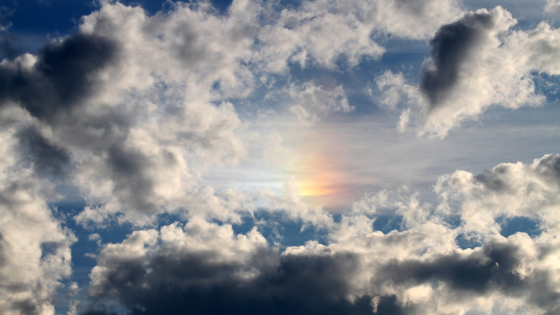 新闻中心报道成年运动员体能测试标准发布，成人体能测试合格标准