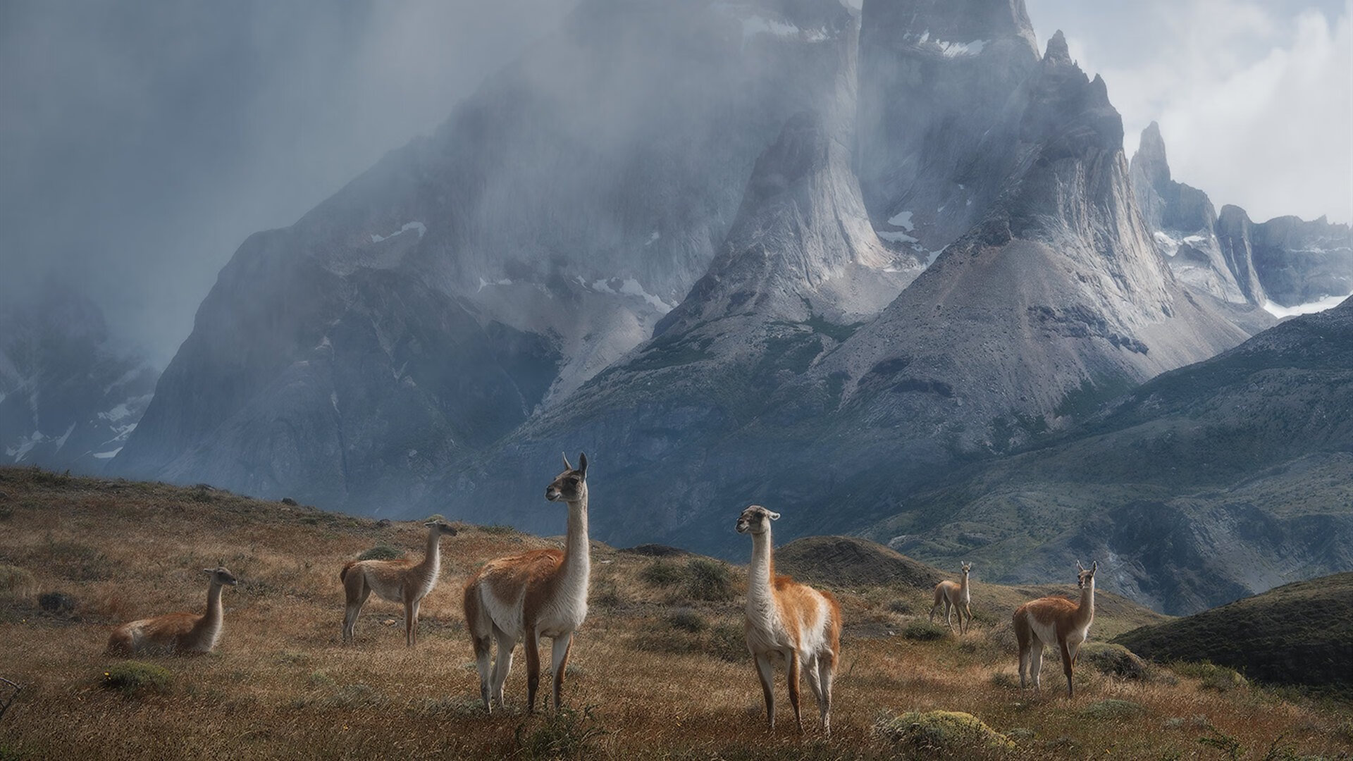马克·阿特金森：南非队的闪电边锋，全场最具威胁的进攻利器